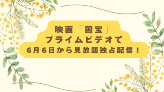 国宝 プライビデオ配信